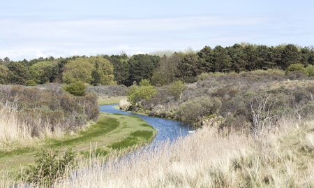 canal dutch dunes in the Netherlandsの写真素材