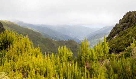 beautiful mountains in Madeira Island Portugal