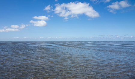 Waddenzee by low tide