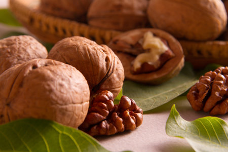 walnut surrounded by leaves on a white background
