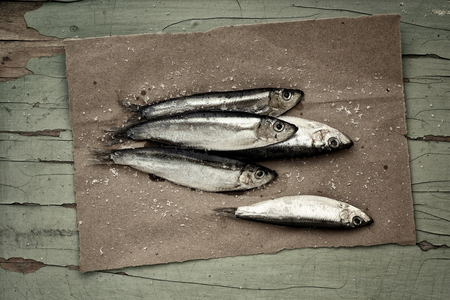 salty sprat on old paper.vintage imageの写真素材
