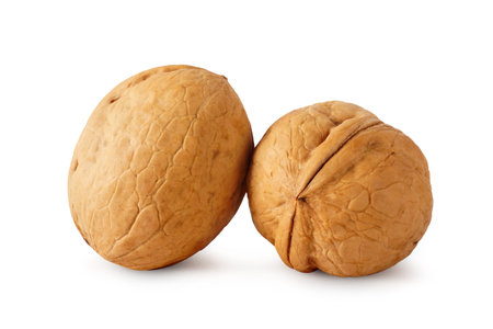 Two walnuts isolated on white background