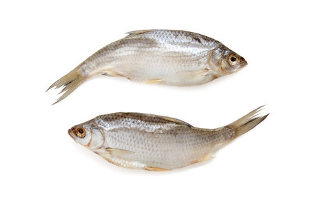 ying and yang symbol. jesting image. stockfish isolated on white background