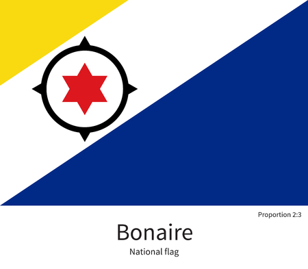 National flag of Bonaire with correct proportions, element, colors for education books and official documentationのイラスト素材
