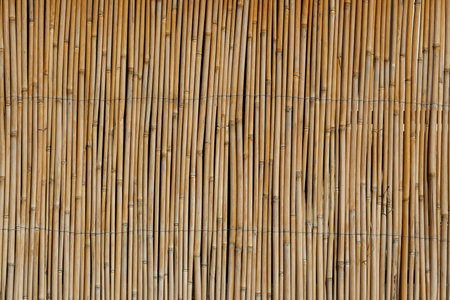 Cane  Beautiful Cane texture close-up  