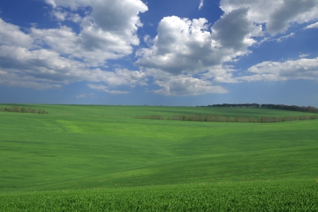Beautiful farmlands with lovely clouds. の写真素材