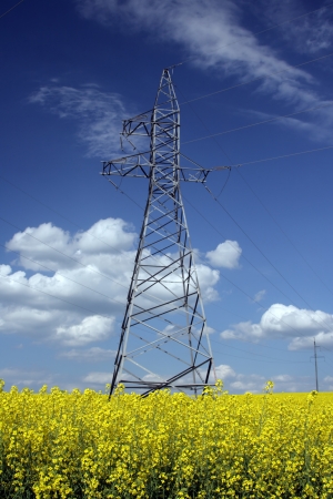 hight voltage line on the blue sky backgroundの写真素材