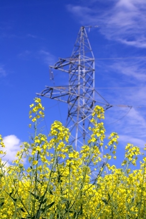 hight voltage line on the blue sky backgroundの写真素材