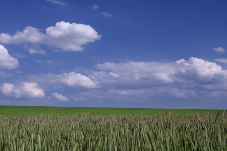 Beautiful farmlands with lovely clouds. の写真素材