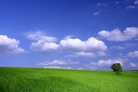 Beautiful farmlands with lovely clouds  の写真素材