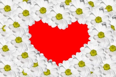 greeting card Camomileの写真素材