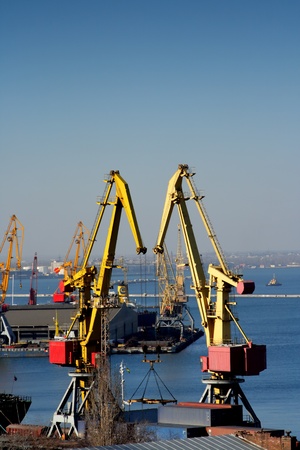 Loading of containers in the Odessa port の写真素材