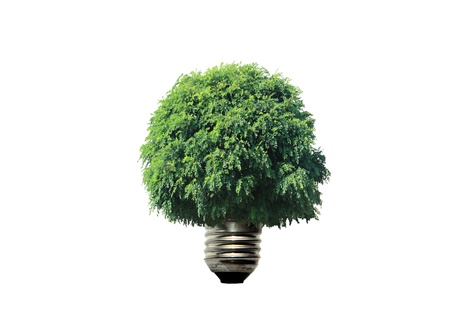 light bulb and tree in white backgroundの写真素材