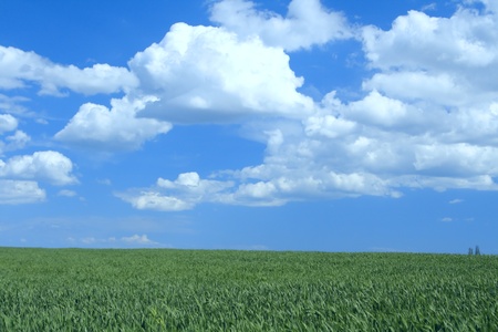 Beautiful farmlands with lovely clouds.の写真素材