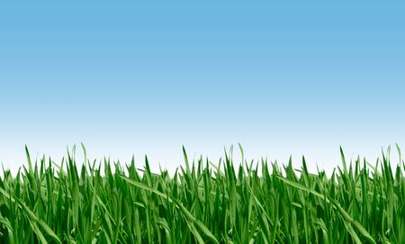 Beautiful farmlands and blue skyの写真素材