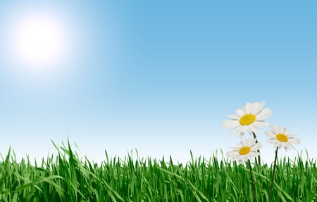 Beautiful farmlands and blue skyの写真素材
