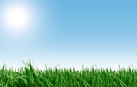 Beautiful farmlands and blue skyの写真素材