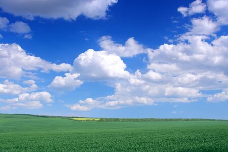Beautiful farmlands with lovely clouds.の写真素材