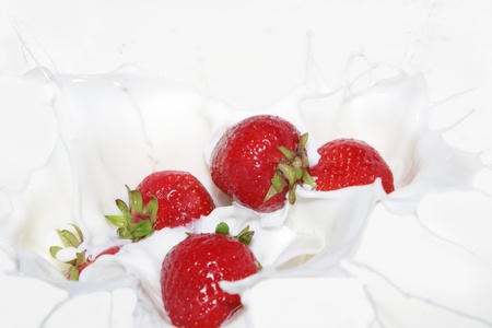 Falling a strawberry with milk splashesの写真素材