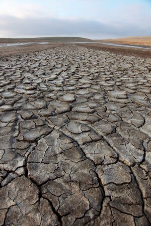 Dry mud from a dry areaの写真素材