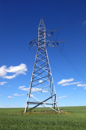 hight voltage line on the blue sky and green grassの写真素材