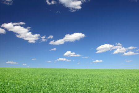 Beautiful farmlands with lovely clouds.の写真素材