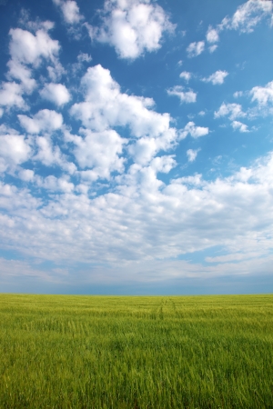 Beautiful farmlands with lovely clouds.の写真素材