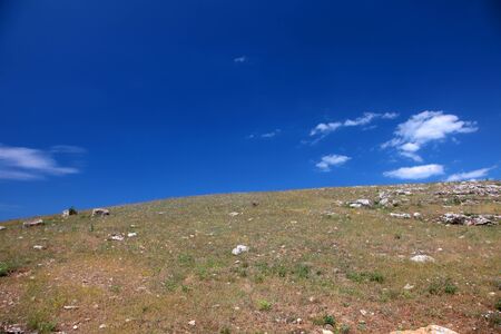 Wild steppe on cape Tarhankut in Crimea, Ukraineの写真素材