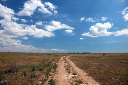 Wild steppe on cape Tarhankut in Crimea, Ukraineの写真素材