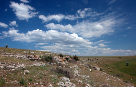 Wild steppe on cape Tarhankut in Crimea, Ukraineの写真素材