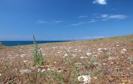 Wild steppe on cape Tarhankut in Crimea, Ukraineの写真素材
