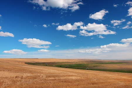 Haystack after harvesting against the blue skyの写真素材
