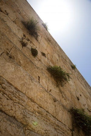 Western wall in Jerusalem
の写真素材