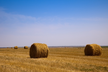 Haystack after harvesting against the blue skyの写真素材