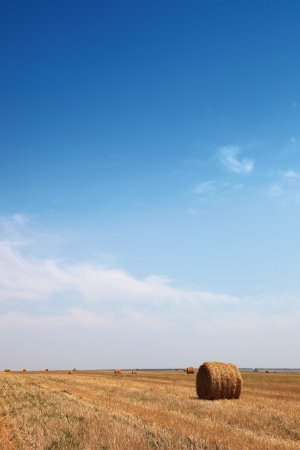 Haystack after harvesting against the blue skyの写真素材
