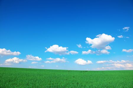 Beautiful farmlands with lovely clouds.の写真素材