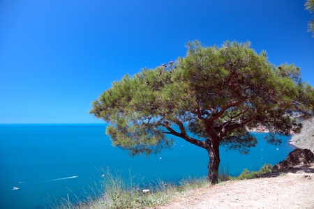 Beautiful views of the Mediterranean coast.の写真素材