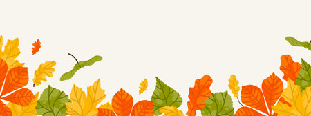Autumn seasonal background with long horizontal border made of falling autumn leaves, yellow, red, orange and green color isolated on background. Hello autumn vector illustrationのイラスト素材