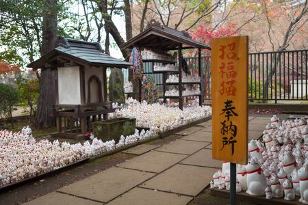 Gotokuji Temple Beckoning cat Dedication placeのeditorial素材
