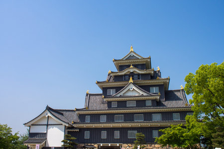 Okayama Castleのeditorial素材