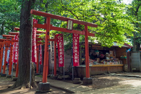 Torii of the Shinto shrineのeditorial素材