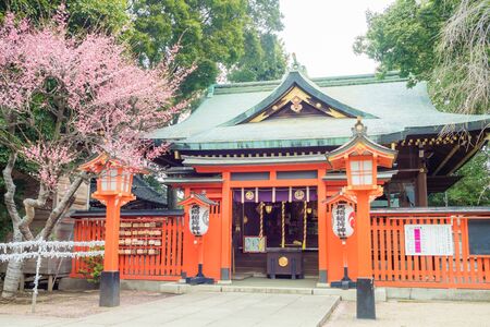 Mabashi Inari shrineのeditorial素材