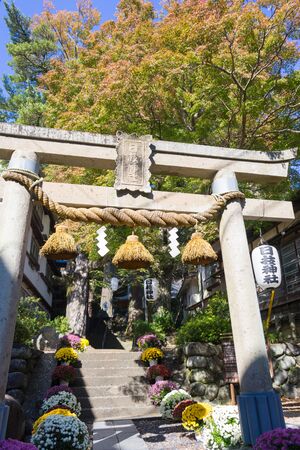 Autumn at the Hie-jinja Shrineのeditorial素材