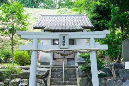 Homi Shrineのeditorial素材