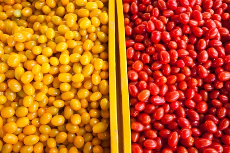 Tomatoes in Plastic Cratesの写真素材