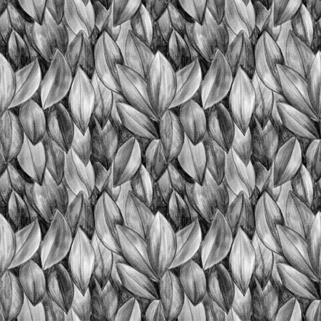 Seamless pattern with black and white leaves. Hand-drawn illustration.の写真素材