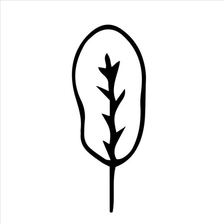 Leaf icon. Hand drawn vector illustration isolated on white background.のイラスト素材