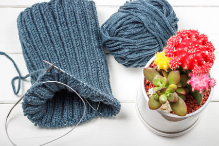 Knitted material, knitting needles and skein on a white background, top viewの写真素材