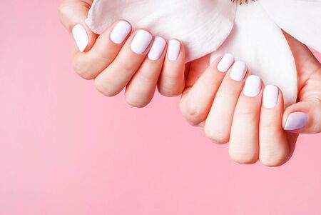 Female hands with white manicure holds a magnolia flower on a pink background close-up, copy spaceの写真素材