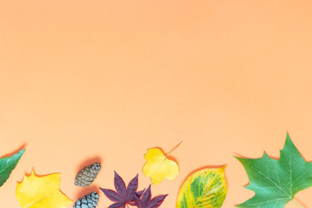 Autumn leaves and bump on a orange background, copy of the spaceの写真素材